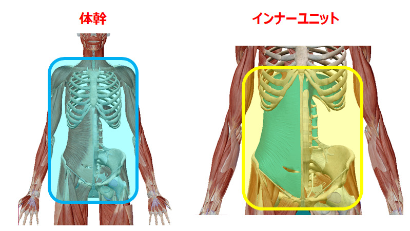 体幹＆インナーユニット