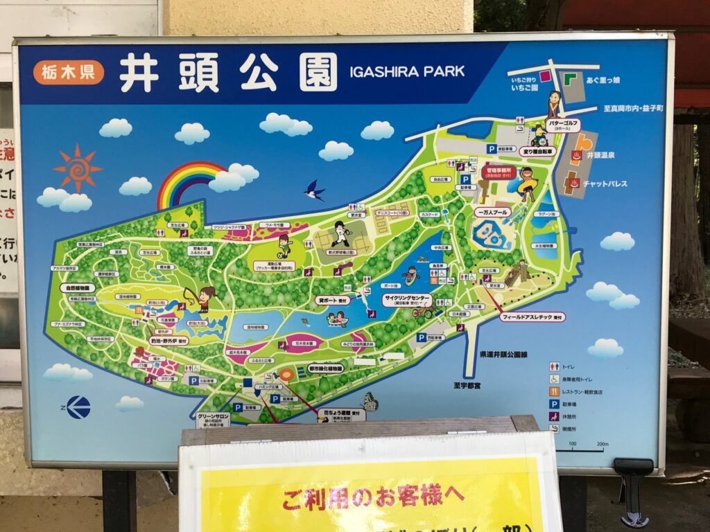 井頭公園