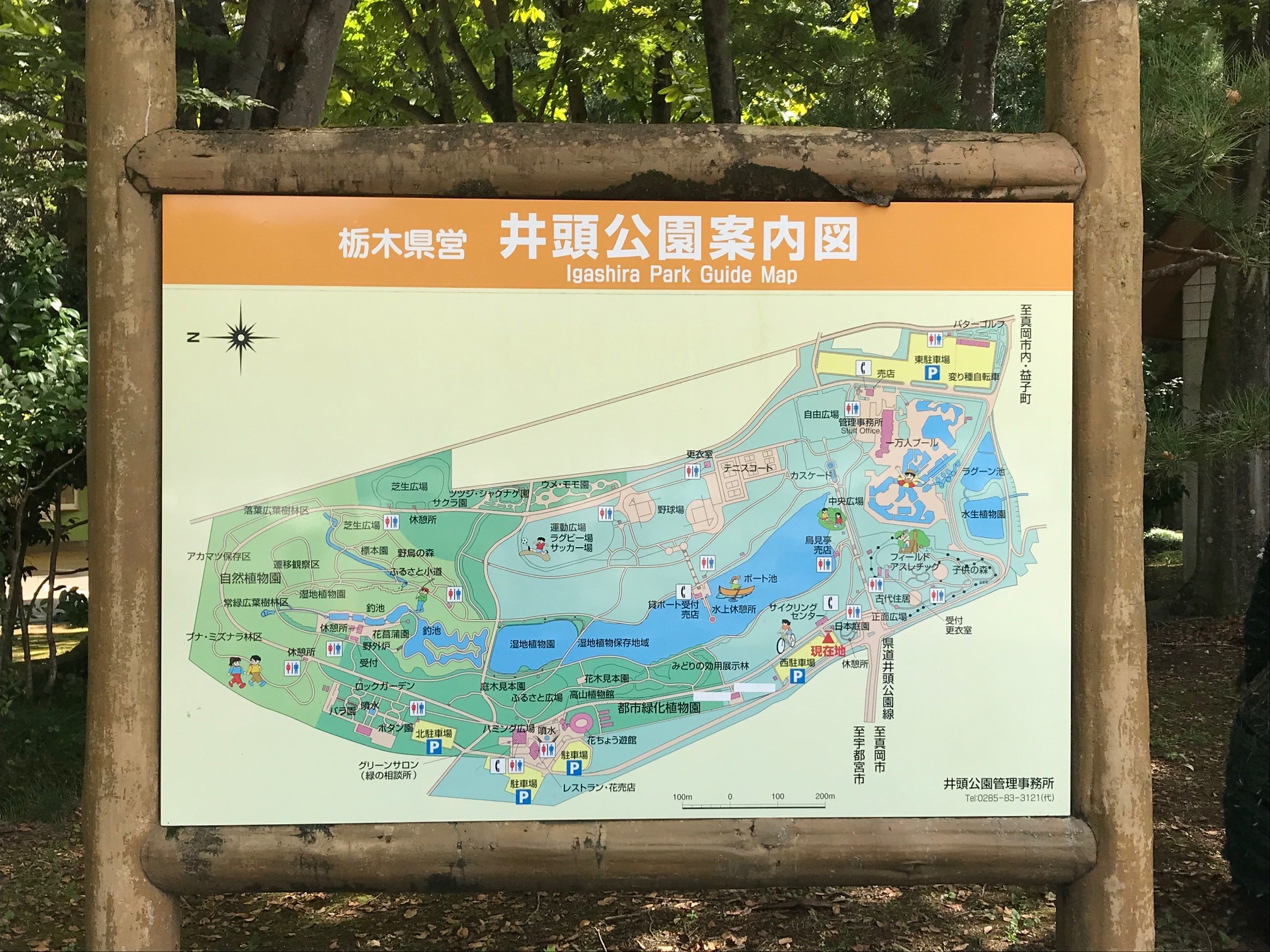 井頭公園